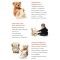 Интерактивный мишка Peekaboo Bear 30 см музыкальный generic