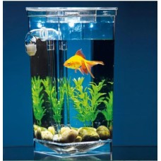 Акваріум самоочисний My Fun Fish 2 л прозорий